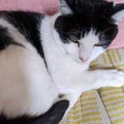 ヒメ日記 2025/05/27 20:48 投稿 ユーコ☆金津随一の神業テク ヴィーナス(金津園)