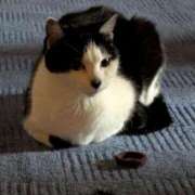 ヒメ日記 2025/05/28 18:36 投稿 ユーコ☆金津随一の神業テク ヴィーナス(金津園)