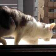 ヒメ日記 2025/05/29 19:21 投稿 ユーコ☆金津随一の神業テク ヴィーナス(金津園)