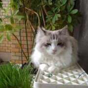 ヒメ日記 2025/06/02 17:48 投稿 ユーコ☆金津随一の神業テク ヴィーナス(金津園)