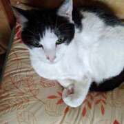 ヒメ日記 2025/06/03 18:33 投稿 ユーコ☆金津随一の神業テク ヴィーナス(金津園)