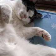 ヒメ日記 2025/06/05 12:18 投稿 ユーコ☆金津随一の神業テク ヴィーナス(金津園)