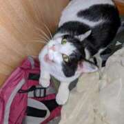 ヒメ日記 2025/06/06 17:43 投稿 ユーコ☆金津随一の神業テク ヴィーナス(金津園)