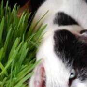 ヒメ日記 2025/06/07 12:18 投稿 ユーコ☆金津随一の神業テク ヴィーナス(金津園)