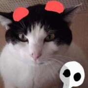 ヒメ日記 2025/06/08 12:27 投稿 ユーコ☆金津随一の神業テク ヴィーナス(金津園)