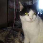 ヒメ日記 2025/06/09 17:57 投稿 ユーコ☆金津随一の神業テク ヴィーナス(金津園)