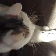 ヒメ日記 2025/06/11 17:36 投稿 ユーコ☆金津随一の神業テク ヴィーナス(金津園)