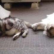 ヒメ日記 2025/06/14 12:12 投稿 ユーコ☆金津随一の神業テク ヴィーナス(金津園)