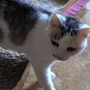 ヒメ日記 2025/06/14 21:33 投稿 ユーコ☆金津随一の神業テク ヴィーナス(金津園)