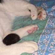 ヒメ日記 2025/06/15 20:51 投稿 ユーコ☆金津随一の神業テク ヴィーナス(金津園)