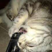 ヒメ日記 2025/06/16 18:57 投稿 ユーコ☆金津随一の神業テク ヴィーナス(金津園)