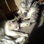 ヒメ日記 2025/06/18 18:36 投稿 ユーコ☆金津随一の神業テク ヴィーナス(金津園)