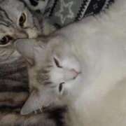 ヒメ日記 2025/06/21 12:18 投稿 ユーコ☆金津随一の神業テク ヴィーナス(金津園)