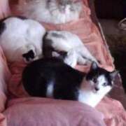 ヒメ日記 2025/06/22 12:03 投稿 ユーコ☆金津随一の神業テク ヴィーナス(金津園)