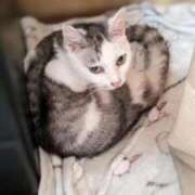 ヒメ日記 2025/06/24 20:42 投稿 ユーコ☆金津随一の神業テク ヴィーナス(金津園)