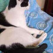 ヒメ日記 2025/06/25 18:18 投稿 ユーコ☆金津随一の神業テク ヴィーナス(金津園)