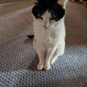 ヒメ日記 2025/06/27 19:36 投稿 ユーコ☆金津随一の神業テク ヴィーナス(金津園)