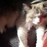 ヒメ日記 2025/06/28 12:06 投稿 ユーコ☆金津随一の神業テク ヴィーナス(金津園)