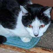 ヒメ日記 2025/06/29 20:18 投稿 ユーコ☆金津随一の神業テク ヴィーナス(金津園)