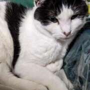 ヒメ日記 2025/07/01 12:18 投稿 ユーコ☆金津随一の神業テク ヴィーナス(金津園)