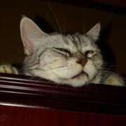 ヒメ日記 2025/07/03 12:07 投稿 ユーコ☆金津随一の神業テク ヴィーナス(金津園)