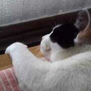 ヒメ日記 2025/07/05 12:06 投稿 ユーコ☆金津随一の神業テク ヴィーナス(金津園)