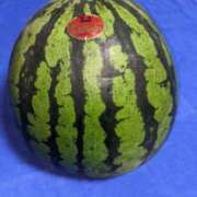 ヒメ日記 2025/07/05 23:12 投稿 ユーコ☆金津随一の神業テク ヴィーナス(金津園)