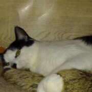 ヒメ日記 2025/07/06 12:12 投稿 ユーコ☆金津随一の神業テク ヴィーナス(金津園)