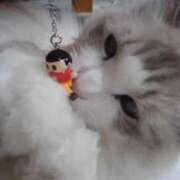 ヒメ日記 2025/07/06 21:36 投稿 ユーコ☆金津随一の神業テク ヴィーナス(金津園)