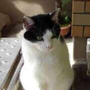 ヒメ日記 2025/07/10 12:03 投稿 ユーコ☆金津随一の神業テク ヴィーナス(金津園)