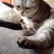 ヒメ日記 2025/07/12 12:06 投稿 ユーコ☆金津随一の神業テク ヴィーナス(金津園)