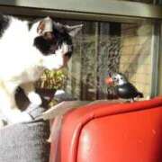 ヒメ日記 2025/07/13 20:18 投稿 ユーコ☆金津随一の神業テク ヴィーナス(金津園)