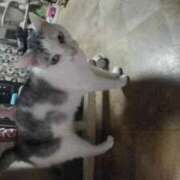 ヒメ日記 2025/07/14 18:12 投稿 ユーコ☆金津随一の神業テク ヴィーナス(金津園)