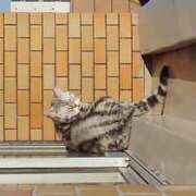 ヒメ日記 2025/07/15 18:21 投稿 ユーコ☆金津随一の神業テク ヴィーナス(金津園)