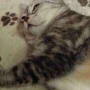 ヒメ日記 2025/07/16 18:12 投稿 ユーコ☆金津随一の神業テク ヴィーナス(金津園)