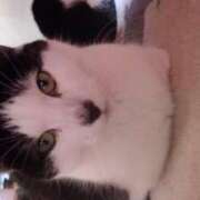 ヒメ日記 2025/07/17 17:54 投稿 ユーコ☆金津随一の神業テク ヴィーナス(金津園)