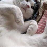 ヒメ日記 2025/07/20 12:18 投稿 ユーコ☆金津随一の神業テク ヴィーナス(金津園)