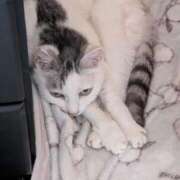 ヒメ日記 2025/07/21 18:18 投稿 ユーコ☆金津随一の神業テク ヴィーナス(金津園)