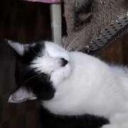 ヒメ日記 2025/07/23 19:15 投稿 ユーコ☆金津随一の神業テク ヴィーナス(金津園)