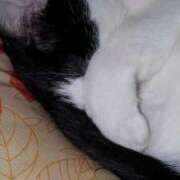 ヒメ日記 2025/07/24 12:03 投稿 ユーコ☆金津随一の神業テク ヴィーナス(金津園)