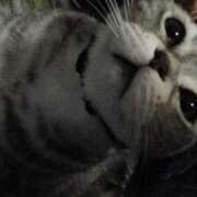 ヒメ日記 2025/07/26 12:06 投稿 ユーコ☆金津随一の神業テク ヴィーナス(金津園)