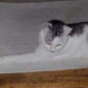 ヒメ日記 2025/07/26 21:33 投稿 ユーコ☆金津随一の神業テク ヴィーナス(金津園)