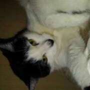 ヒメ日記 2025/07/27 20:21 投稿 ユーコ☆金津随一の神業テク ヴィーナス(金津園)