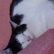 ヒメ日記 2025/07/28 18:33 投稿 ユーコ☆金津随一の神業テク ヴィーナス(金津園)