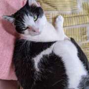 ヒメ日記 2025/07/29 20:54 投稿 ユーコ☆金津随一の神業テク ヴィーナス(金津園)