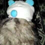 ヒメ日記 2025/08/02 12:09 投稿 ユーコ☆金津随一の神業テク ヴィーナス(金津園)