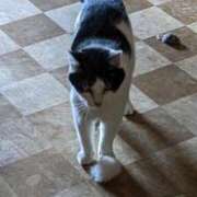 ヒメ日記 2025/08/03 21:36 投稿 ユーコ☆金津随一の神業テク ヴィーナス(金津園)