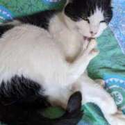 ヒメ日記 2025/08/04 19:12 投稿 ユーコ☆金津随一の神業テク ヴィーナス(金津園)