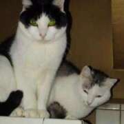 ヒメ日記 2025/08/05 18:00 投稿 ユーコ☆金津随一の神業テク ヴィーナス(金津園)