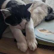 ヒメ日記 2025/08/06 18:21 投稿 ユーコ☆金津随一の神業テク ヴィーナス(金津園)